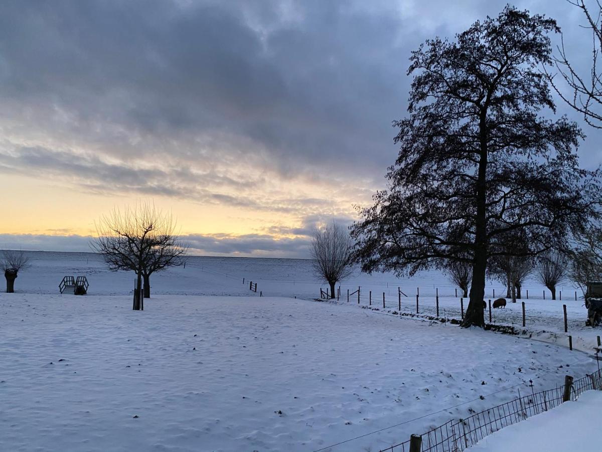 Wijhe Pipowagen Mammaloe Bed & Breakfast エクステリア 写真